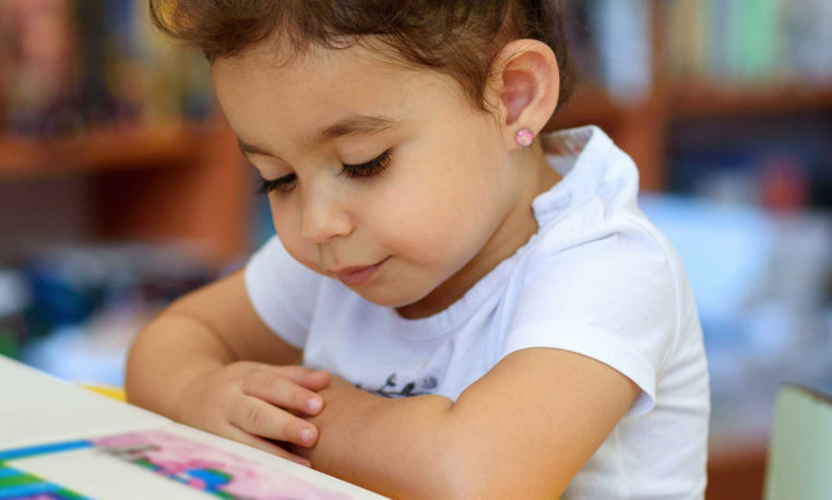Instrucciones para armar una biblioteca: aportes desde la literatura infantil y juvenil